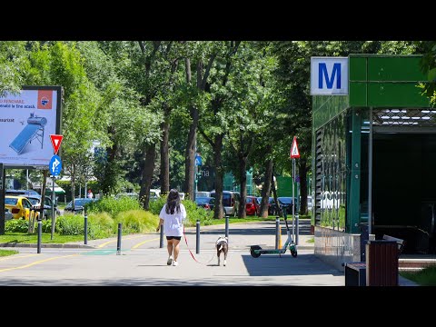 Sunny days in Bucharest - Drumul Taberei