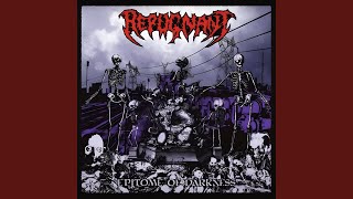 From Beyond the Grave