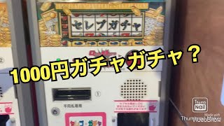1000円ガチャガチャ？