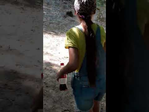 cu familia vizitam parcul natural Green Codru rezervatie de cerbi si caprioare. Șoimi Jud BIHOR