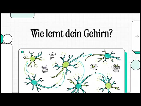 Wie lernt dein Gehirn (Langzeitpotenzierung) | EINFACH ERKLÄRT