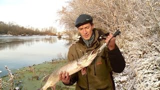 Щука на суре в пензе