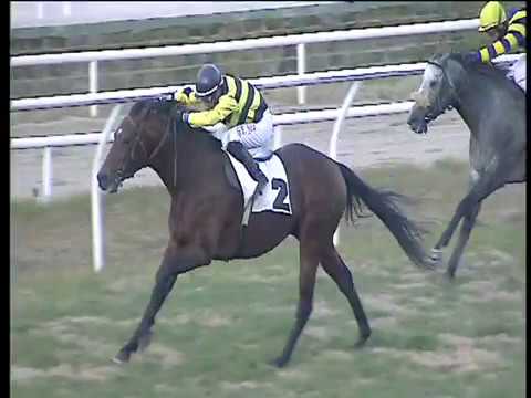 Galoppo 20/12/2017 - 4ª corsa