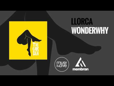 Llorca - Wonderwhy (with Samuel Lancine) (Official Audio)