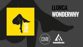 Llorca - Wonderwhy (with Samuel Lancine) (Official Audio)