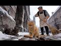 Ay Mi Gatito Miau Miau MONTAGEM MIAU Letra Music Video Catlovers Lyrics Fyp
