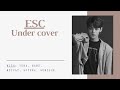 A C E UNDER COVER COVER