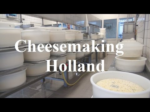 Netherlands/Holland/Chees Making/Jongenhoeve/Bergambacht Part 13