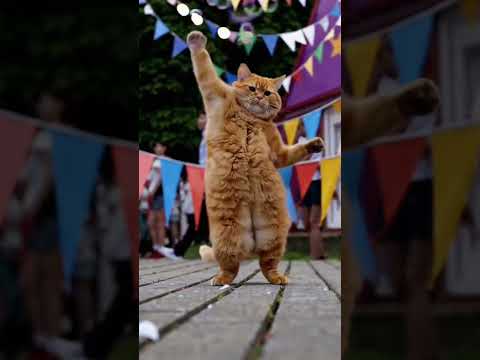 Cat Dancing to Azizam by Ed Sheeran 🐱🎶💃 #edsheeran #azizam #dance #ai #cat #shorts  #funny