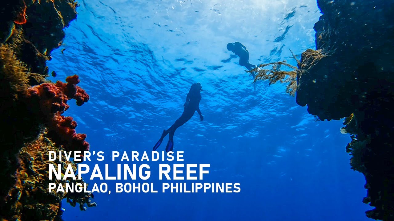 A traveler experiences freediving at Napaling Reef.
