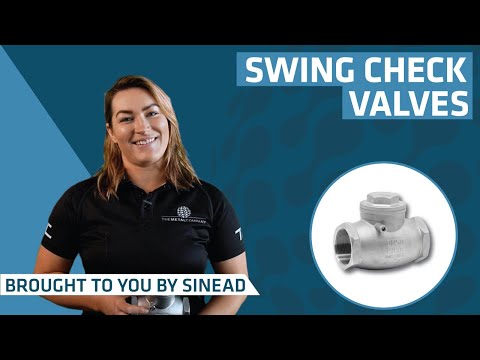 Gun metal swing check valve, valve size: 1.0 inch, size: 1.2...