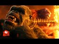 Godzilla X Kong The New Empire 2024 Kong Vs Skar King Movieclips