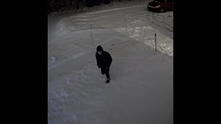 Troll be trolled #shorts