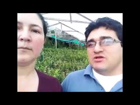entrevista   agricultor  JUIAN CAMILO MORENO