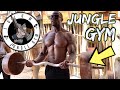 Tulum Jungle Gym Workout (Best Gym in the WORLD!) - 