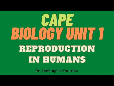 CAPE Biology Unit 1 Module 3 - Reproduction in Humans, Spermatogenesis, Oogenesis