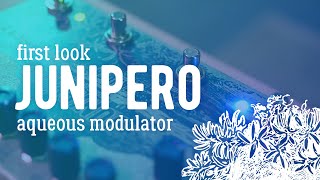 Video thumbnail for Zander Circuitry Junipero - First Look by Zander Circuitry