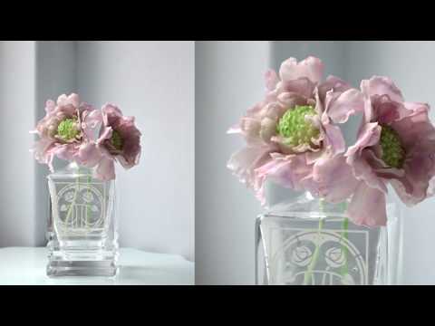 Trailer: Scabious Tutorial