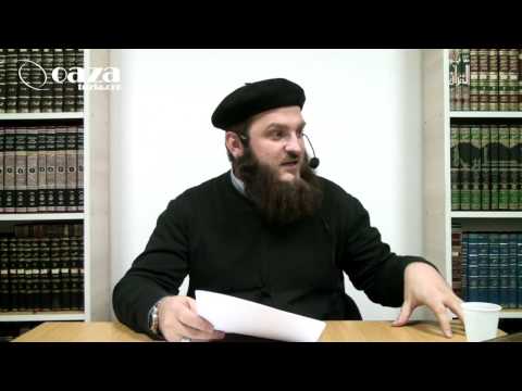 OD NAJAVE HARIDŽIJA DO POJAVE MEHDIJA - Mithad Ćeman, prof.