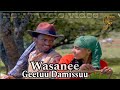 Geetuu Damissuu Wosanee New Ethiopian Oromo Music 2026 Wosanuu