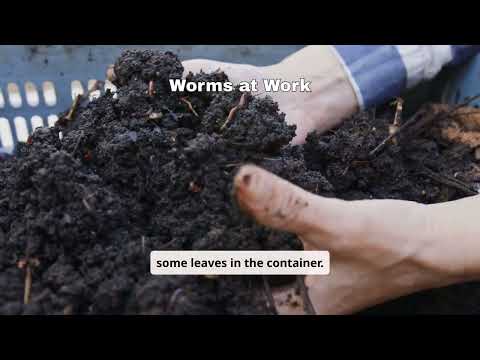 Wonderful Worms & Soil Creatures: Build a Mini Worm Farm! #WonderfulWorms #SoilCreatures
