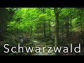 Wasserflle Schwarzwald Download Audio Mp3 and Mp4 Wasserflle Schwarzwald Download Audio Mp3 and Mp4