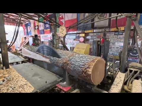 sawing one frozen cherry log # 644
