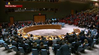 Из-за событий в Керченском проливе международные институции созвали экстренные заседания