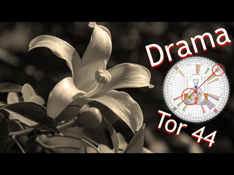 dramadynamische Abhandlungen des Themas Zusammenarbeit anhand des Tores 44 entsprechend Human Design