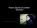 Future Sound Of London - Divinity - PL