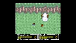 Franchise Vote Video