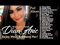 Best Audio Dian Anic