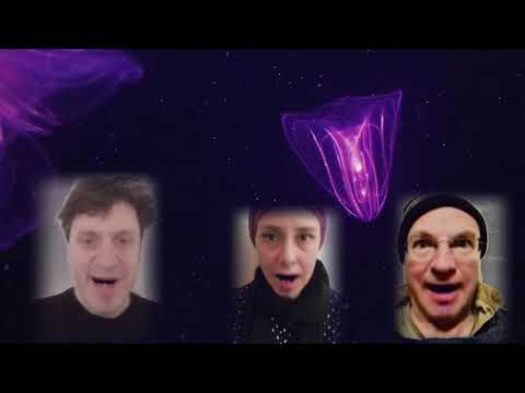 Blueblut - Official Video for Aumba - Video by Angela Christlieb