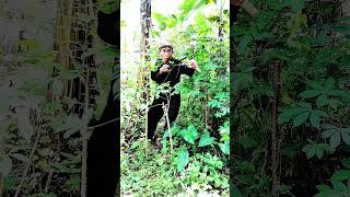 Download lagu Guyonan Bah ulia #funny #funny #tipeketawa #comedy #shortvideo #subscribe mp3