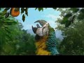 Tropicana Singing Parrots Nothing Added TV Commercial By Framestore 2004