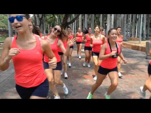 Sincro Roller - Mondiali Cali 2015