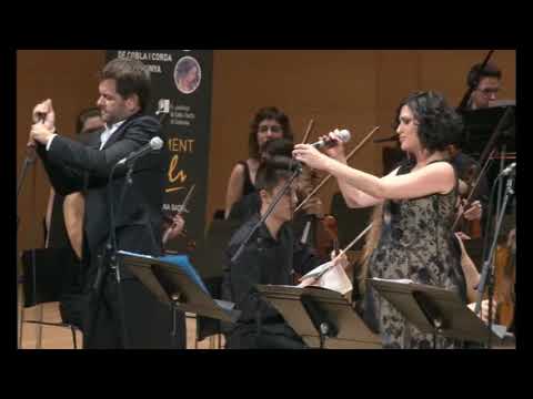 Tossudament Llach - Un núvol blanc