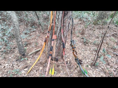 Recurve or Longbow, What is best for a Beginner?