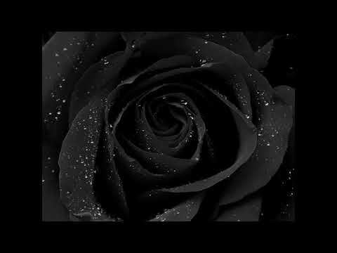 "Free Again" - Lera Lynn (Endless Dungeon trailer song)