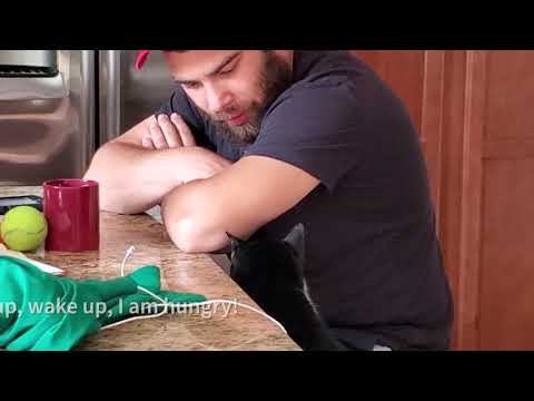 Joshua And Adolpho Are Best Friends