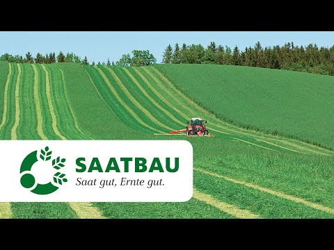 Im Grünland erfolgreich durchstarten | SAATBAU ACKERdemie Webinar
