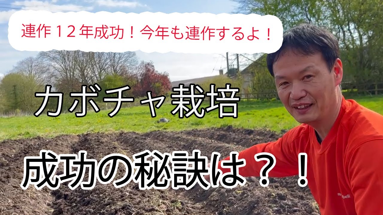 自家採種と草マルチで育てる強い野菜