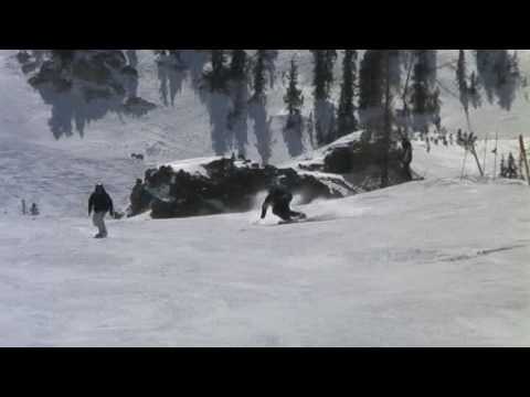 APSI Demonstration Skiing - Dynamic Medium/LongTurns