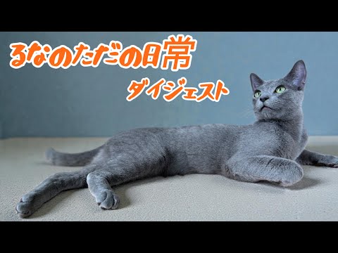 『るなのただの日常』（#1〜14）一般公開ダイジェスト版