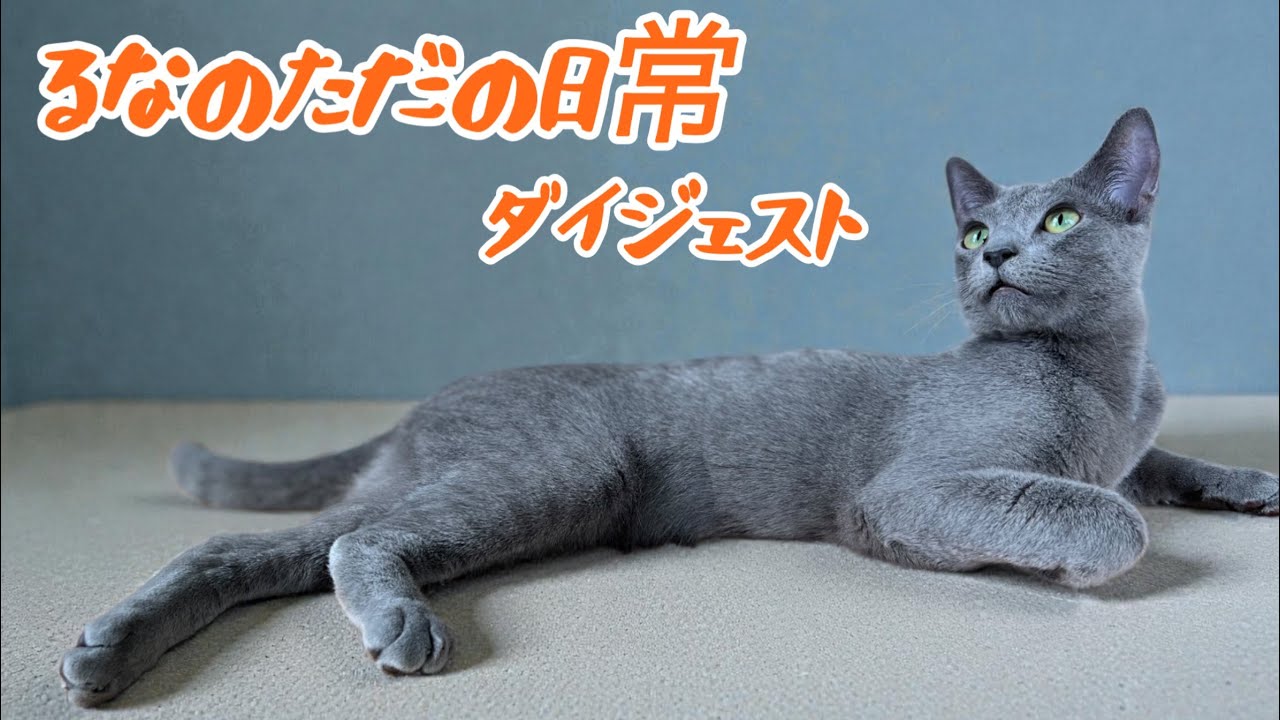 『るなのただの日常』（#1〜14）一般公開ダイジェスト版