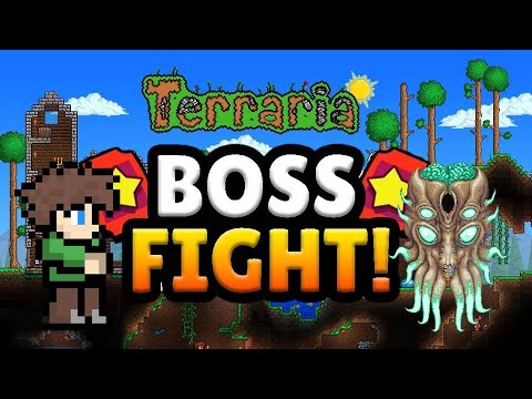 Terraria Boss Fight