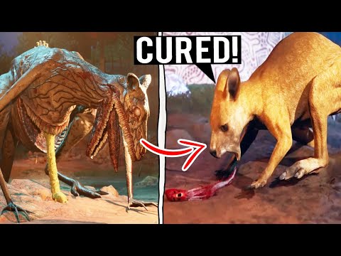 What Happens if You Save Everyone and Cure All Animals? - Zoochosis