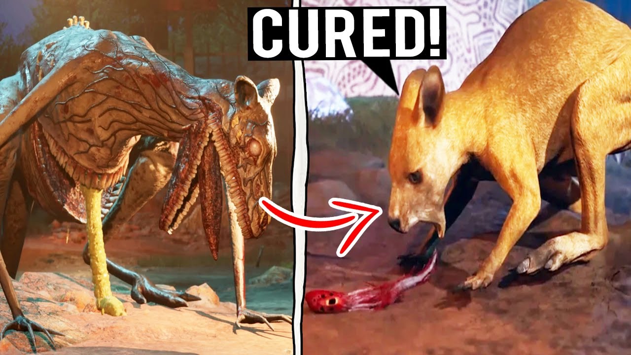 What Happens if You Save Everyone and Cure All Animals? - Zoochosis