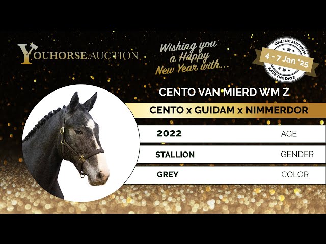 Cento van Mierd WM Z