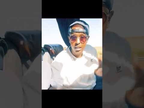 Das ist der Part von Dunya zako x accaoui #skandalisten #icon5 #rap #bzet #zako #accaoui #dunya